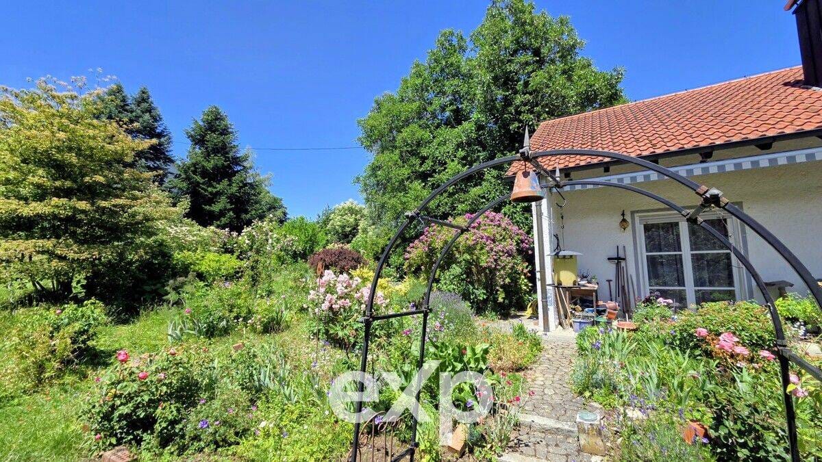 Immobilie in Holzheim - EFH, Großes Grundstück, Hanglage - mit Nießbrauch - Bild 3