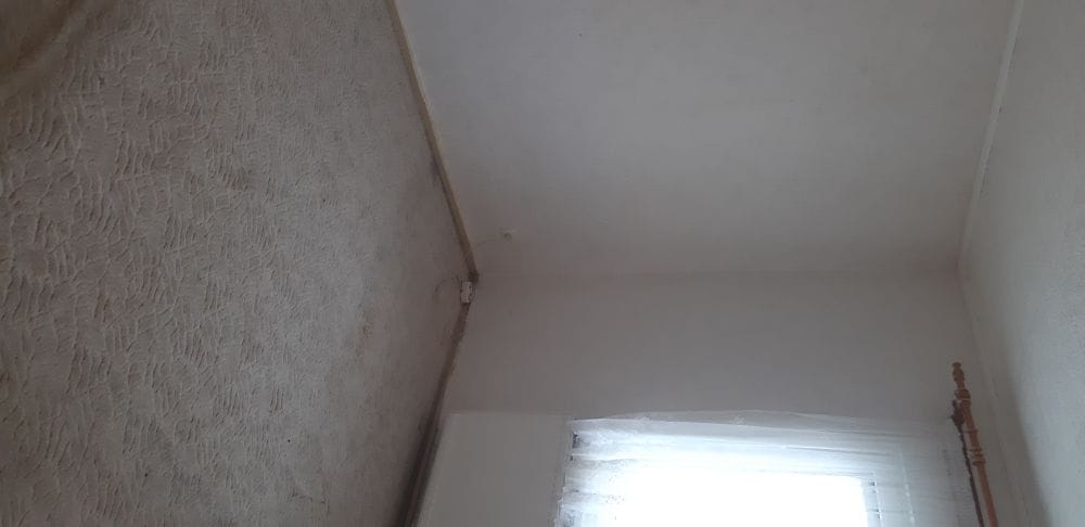 Immobilie in Großbreitenbach - Ein- bis Zweifamilienhaus - Bild 4