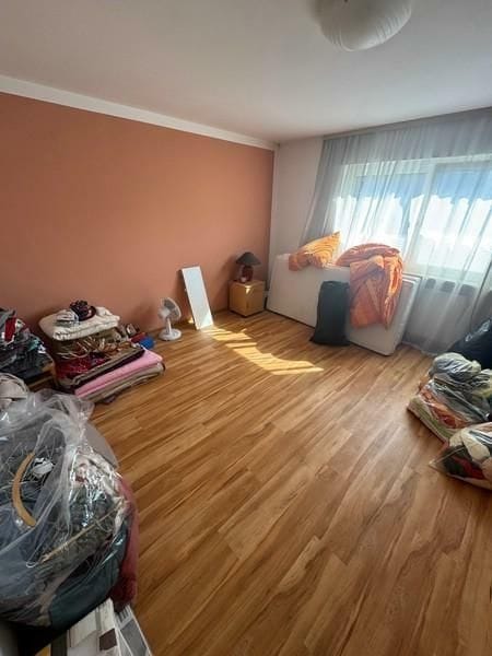 Immobilie in Biblis - ZFH - Kapitalanlage - Mehrgenerationenhaus - Metropolregion - Nah am Vater Rhein - beste Wohnlage - Bild 4
