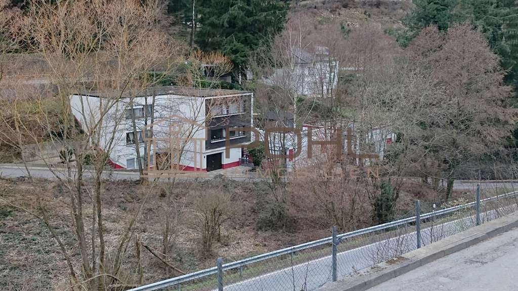 Immobilie in Schriesheim - Einzigartige Immobilie mit Geschichte – Ihr neues Zuhause mit modernem Komfort - Bild 4