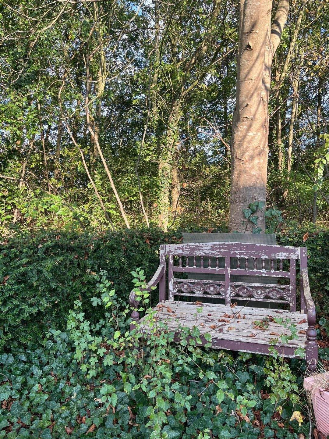 Immobilie in Zeven - großzügiges Einfamilienhaus in ruhiger und zentraler Lage - Bild 3