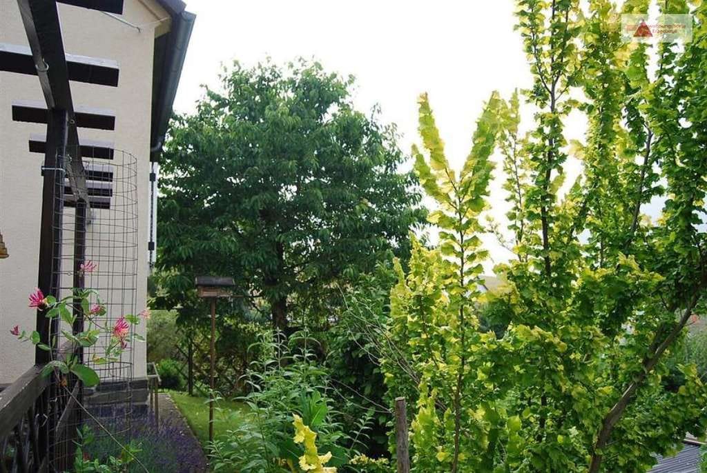 Immobilie in Reinsdorf - Reinsdorf bei Zwickau: Gepflegtes Einfamilienhaus mit Keller, Garage, Garten & Waldnähe – 3 Zimmer - Bild 1