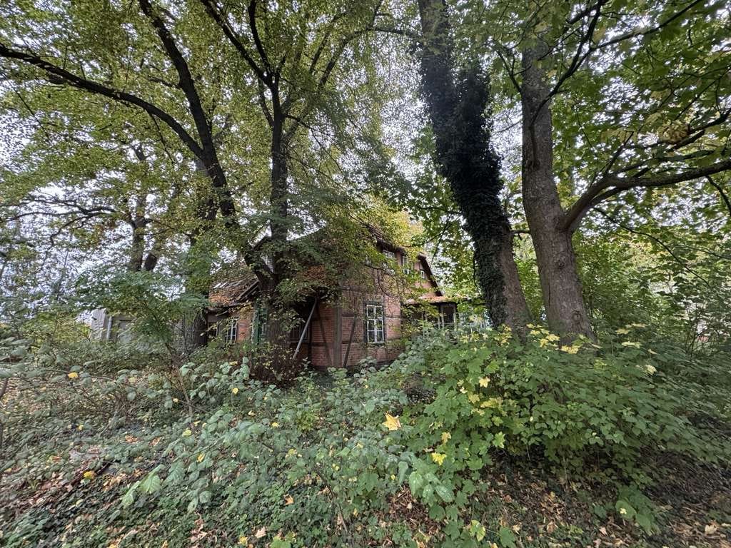 Immobilie in Lübtheen - Charmantes Fachwerkhaus im Grünen - Bild 0