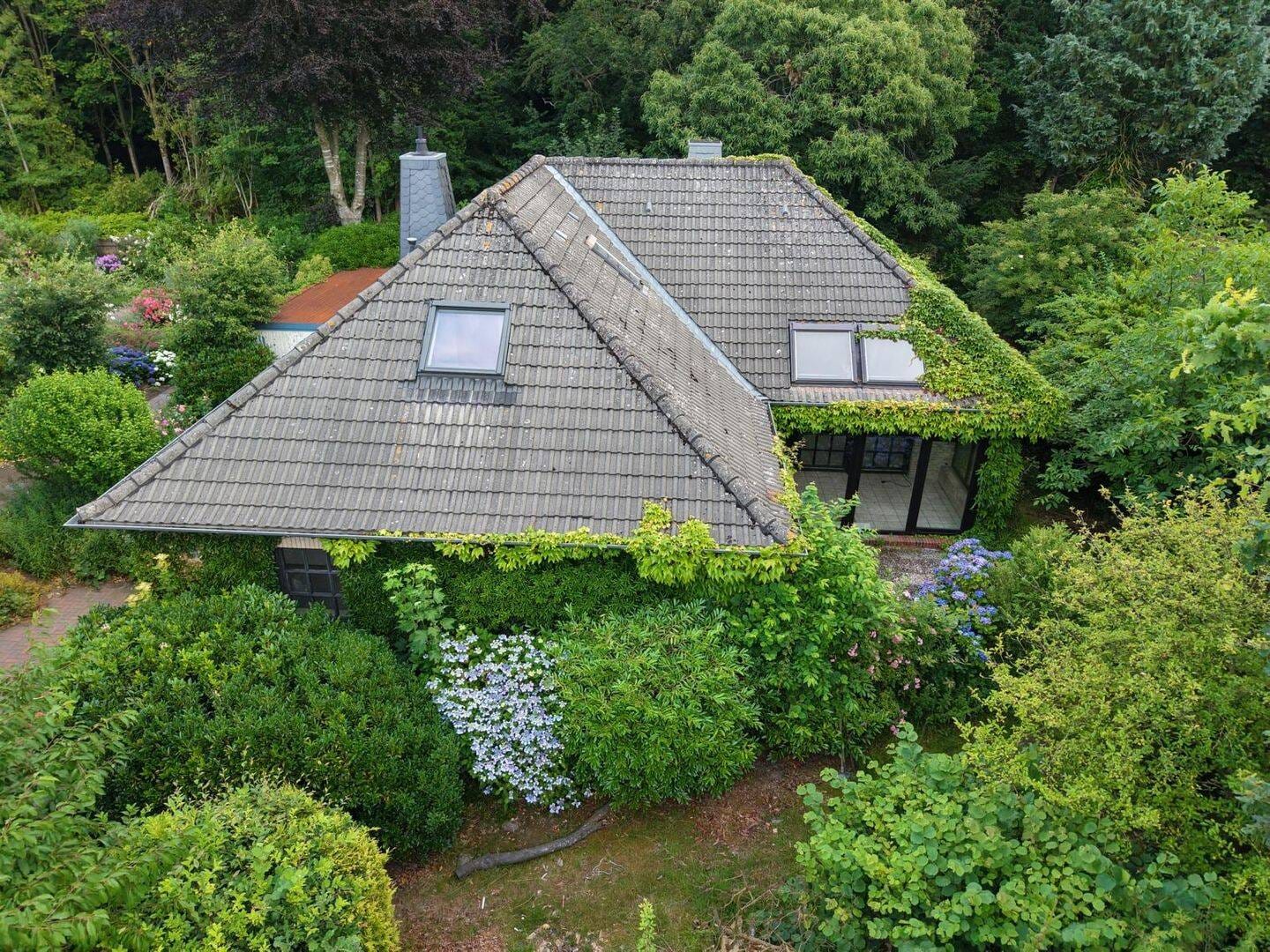Immobilie in Hage - Viel Platz in bester Wohnlage: Großzügiger Bungalow mit Option Einliegerwohnung und idyllischer Waldnähe - Bild 3