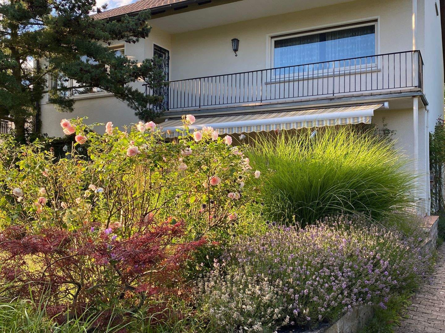 Immobilie in Mellrichstadt - MET: freistehendes Einfamilienhaus in ruhiger, sonniger Lage zu verkaufen. Gehobener Standard, Mellrichstadt, Rhön-Grabfeld - Bild 3