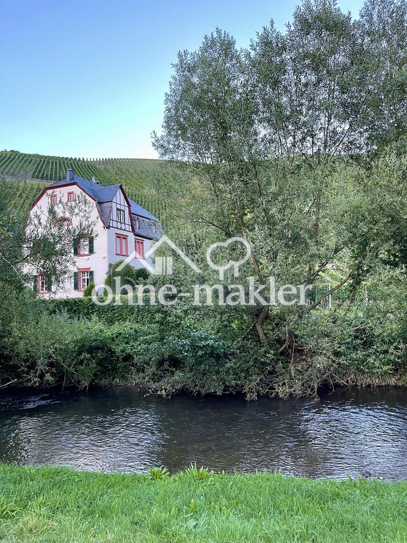 Immobilie in Neumagen-Dhron - Exklusives Landhaus, selten, außergewöhnlich, hohes Maß an Privatsphäre - Bild 1