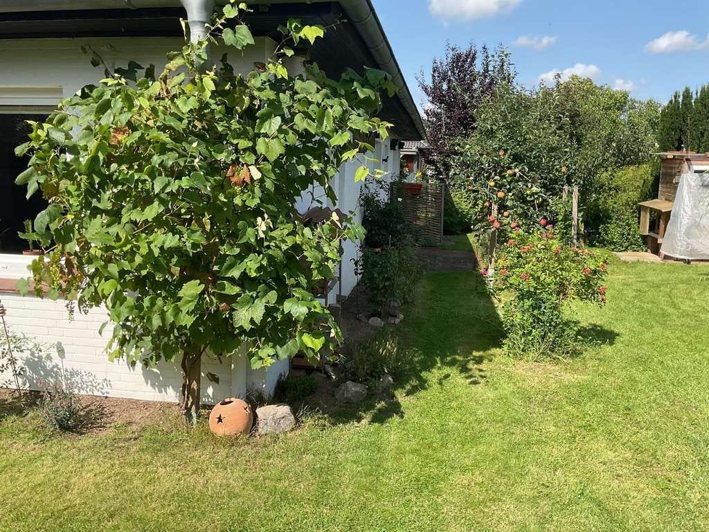 Immobilie in Bargfeld-Stegen - Zweifamilienhaus in Bargfeld-Stegen - Bild 4