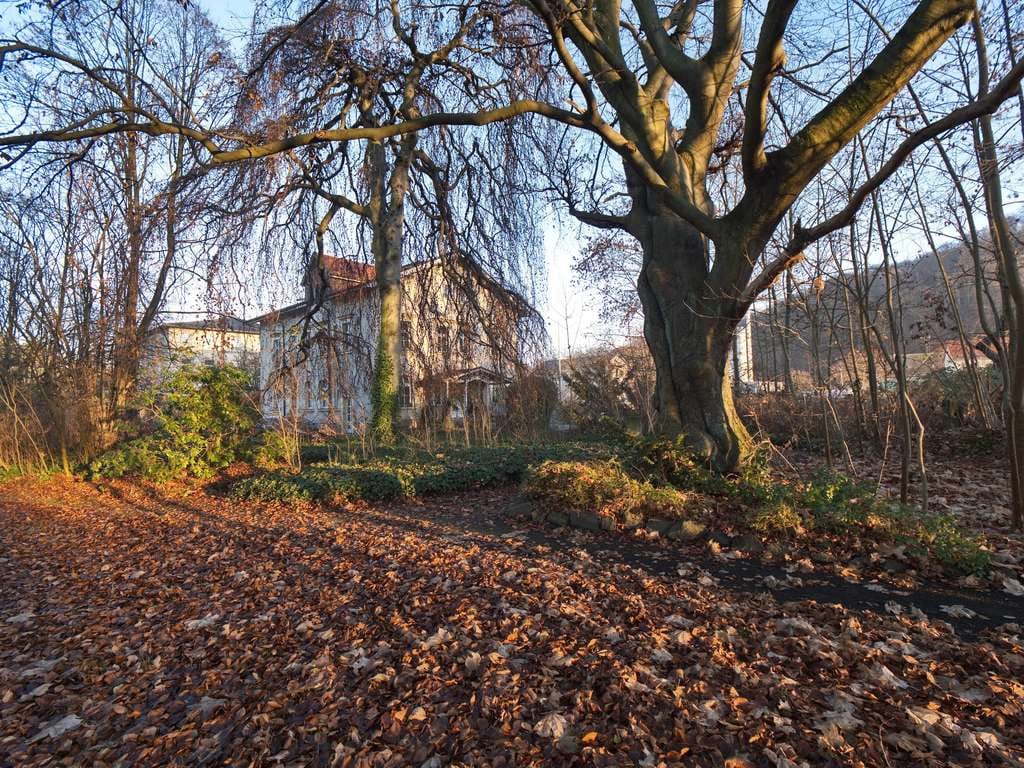 Immobilie in Freital - Gründerzeitvilla mit parkähnlichem Grundstück - Denkmalschutz - Bild 0