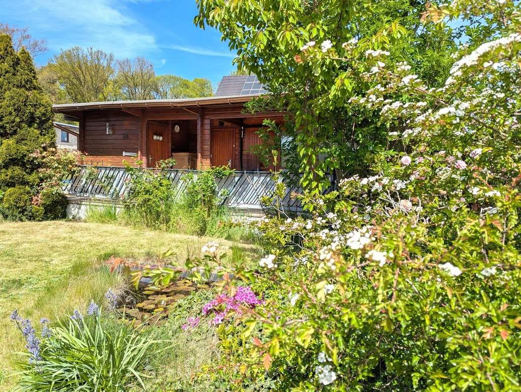 Immobilie in Hamminkeln - Gemütliches Ferienhaus mit Pool und Garten in ruhiger Lage - Bild 1