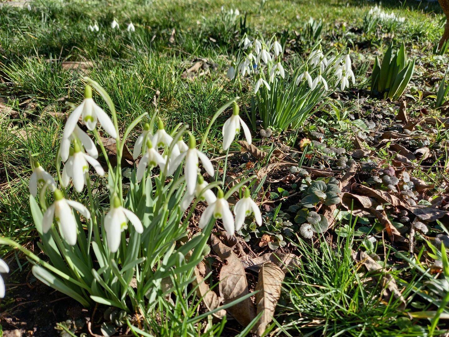 Immobilie in Nesse-Apfelstädt - Häuschen mit Garten ...im beliebter Lage westlich von Erfurt - 20 Min. bis Erfurt Altstadt - Bild 0