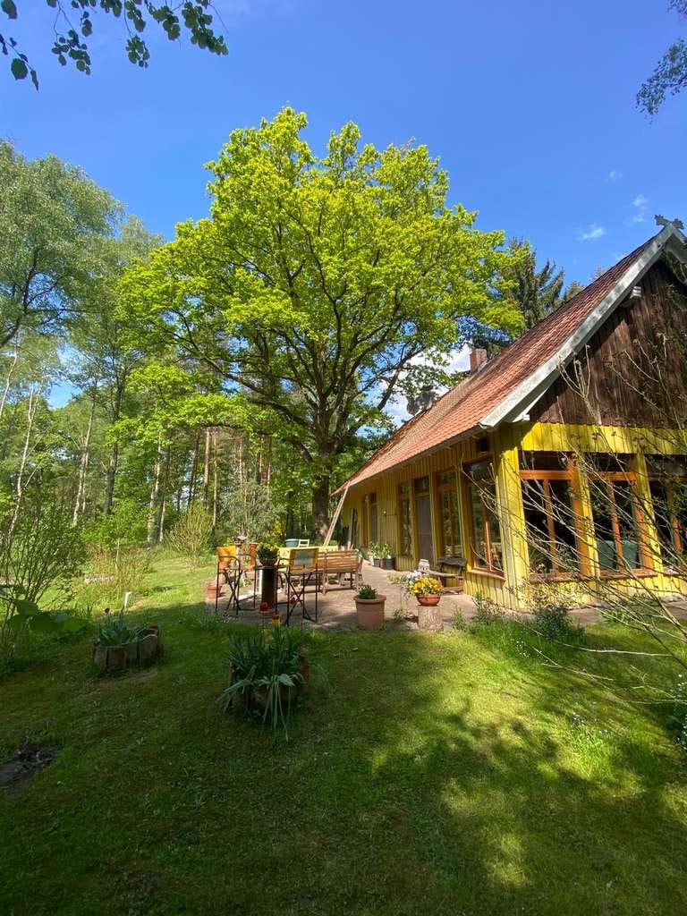 Immobilie in Ahlden - Einfamilienhaus/Ferienhaus mit großem Waldgrundstück auf über 11000 m² - Bild 1