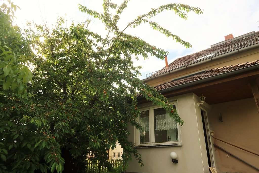 Immobilie in Templin - Einfamilienhaus mit Hof und Garage in Templin - Bild 0