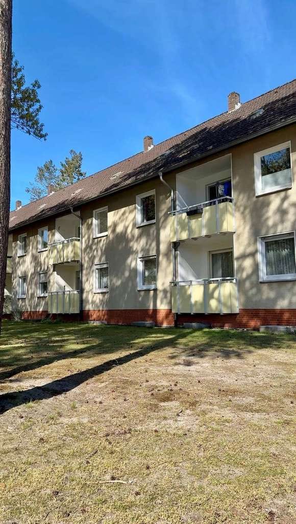 Immobilie in Celle - Einziehen und Entspannen: Modernisierte Drei Zimmerwohnung in traumhaft ruhiger Lage von Celle - Bild 2