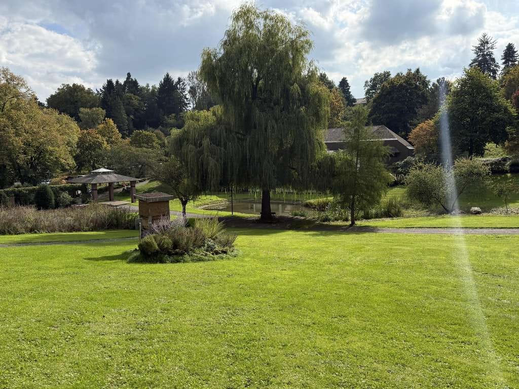 Immobilie in Manderscheid - Großzügiges, teilrenoviertes Wohnhaus mit FeWo in Manderscheid - Bild 2