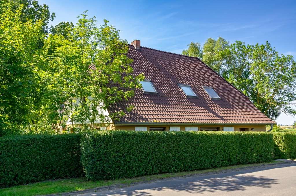 Immobilie in Ummanz - Saniertes Bauernhaus mit Sauna und Kamin - Bild 3