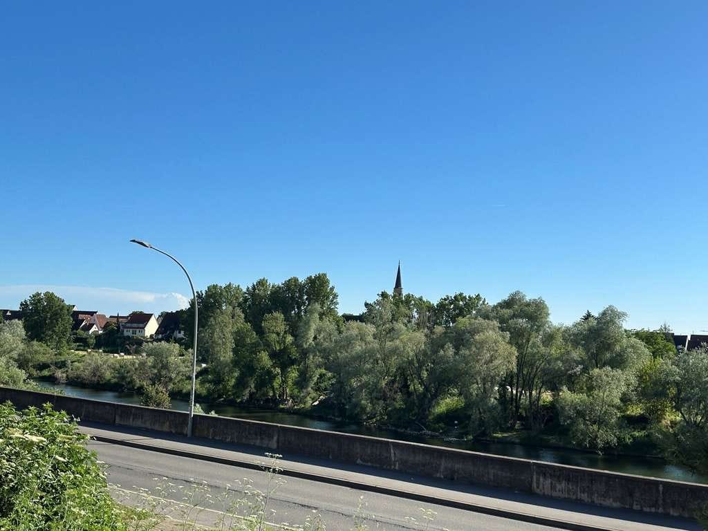 Immobilie in Ilvesheim - Direkt am Neckar! Haus mit 2-3 Wohneinheiten auf der "Insel" und viel Platz für Ihre Ideen - Bild 2