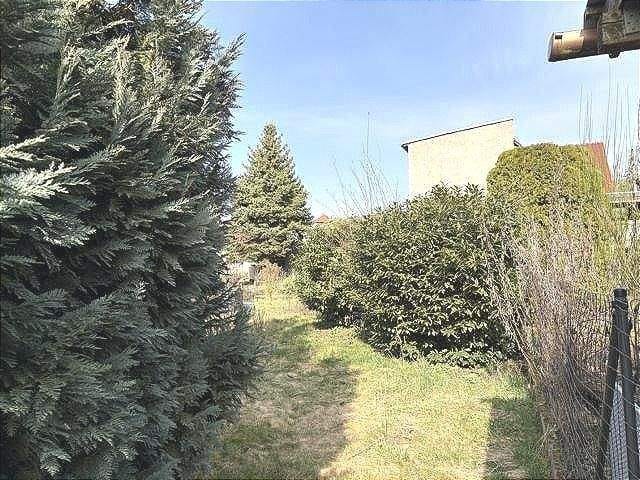 Immobilie in Artern - Einfamilienhaus mit Garten in Artern - Bild 4