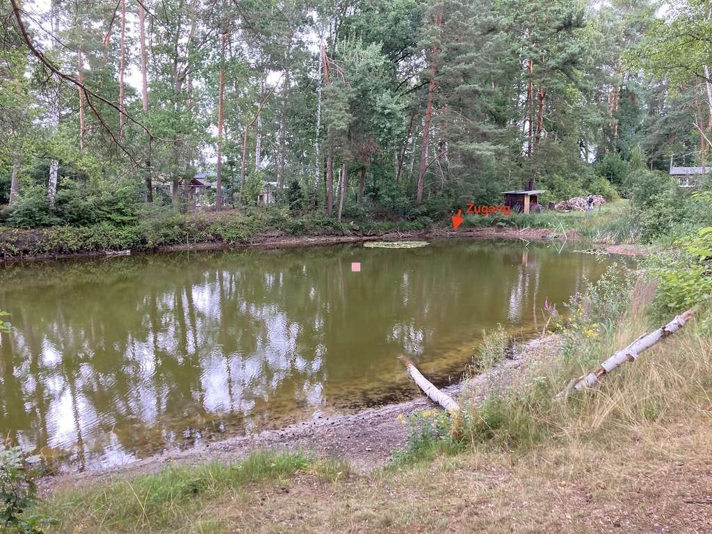 Immobilie in Neustadt am Rübenberge - Einzigartiges Waldgrundstück mit Wochenendhaus und Teichzugang – Ideal für Naturfreunde und Bastler - Bild 4