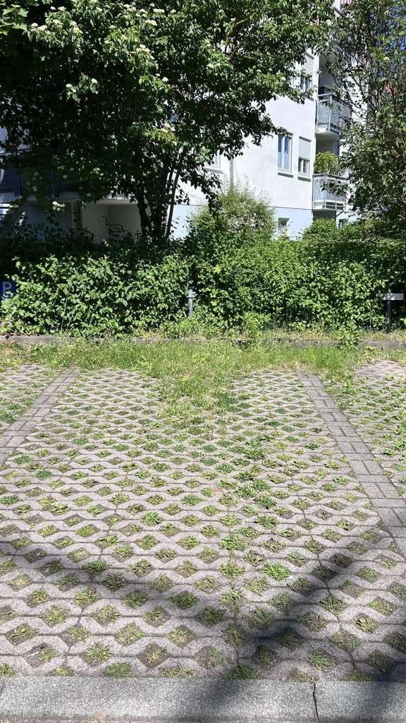 Immobilie in Wilkau-Haßlau - Anschluss zum Himmel - Bild 3