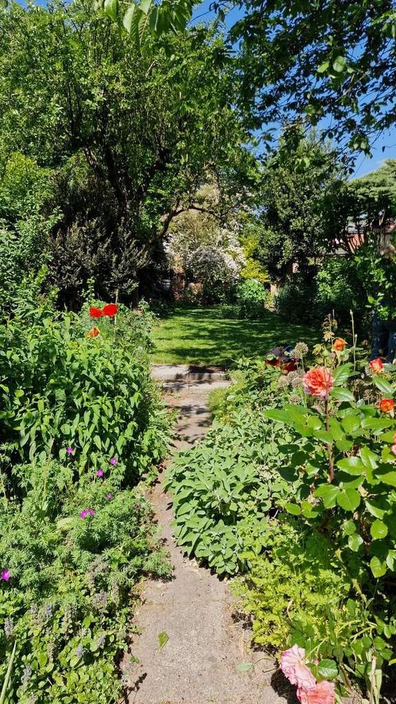 Immobilie in Engelbrechtsche Wildnis - Familienfreundliches Einfamilienhaus in Glückstadt - Bild 3