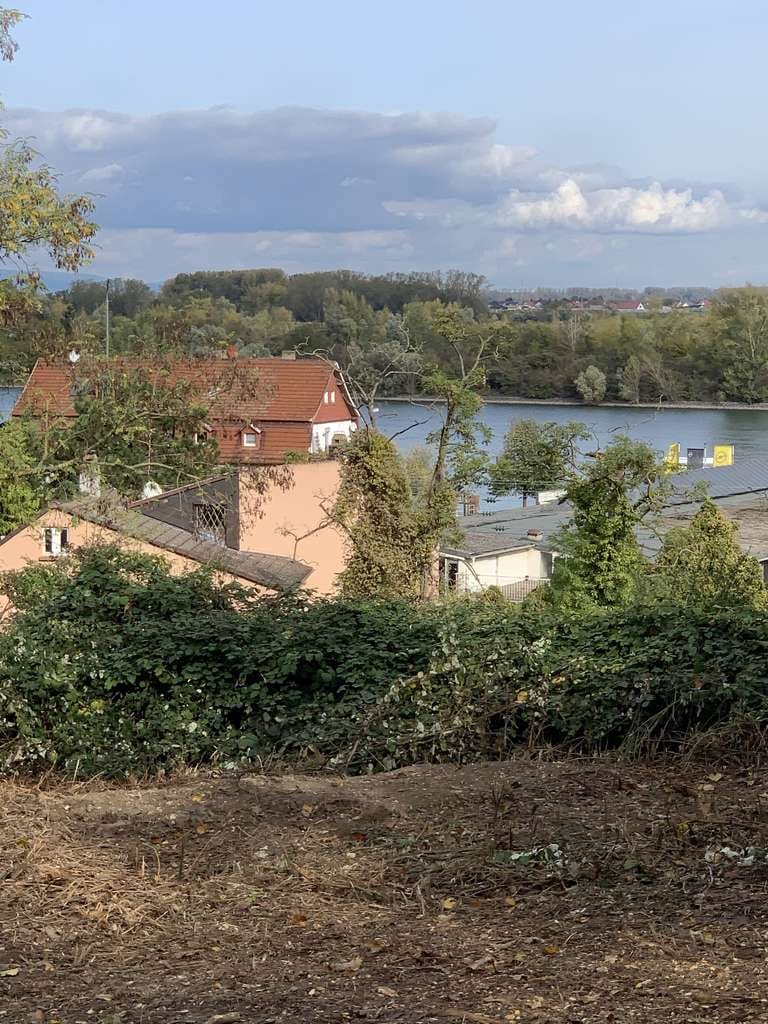 Immobilie in Nierstein - Extra für Familien! 1 Familien Haus blick auf den Rhein ! - Bild 4