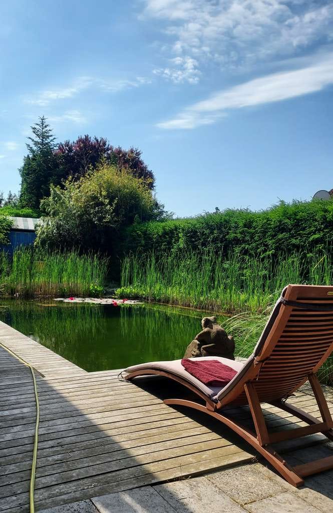 Immobilie in Neuenstein - Einfamilienhaus mit Schwimmteich, hohen Decken, Gartenhaus & naturnaher Lage direkt an den Feldern ! - Bild 1