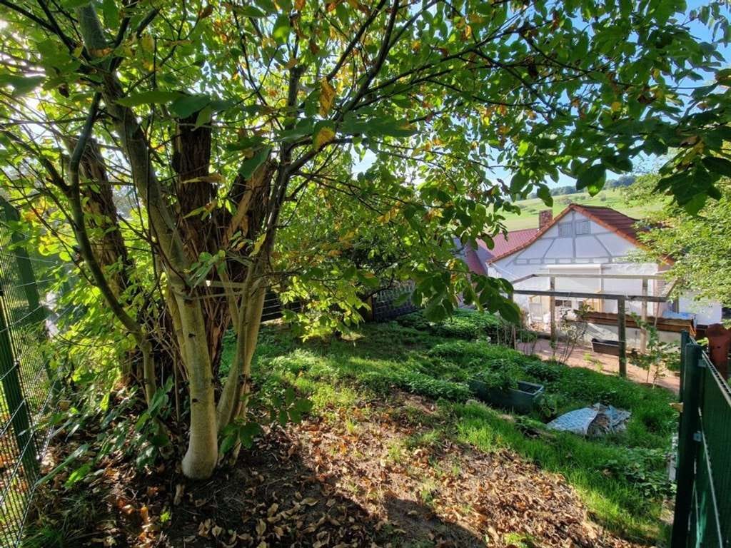 Immobilie in Lützelbach - Gemütliches Häuschen mit Scheune und Garten - Bild 0