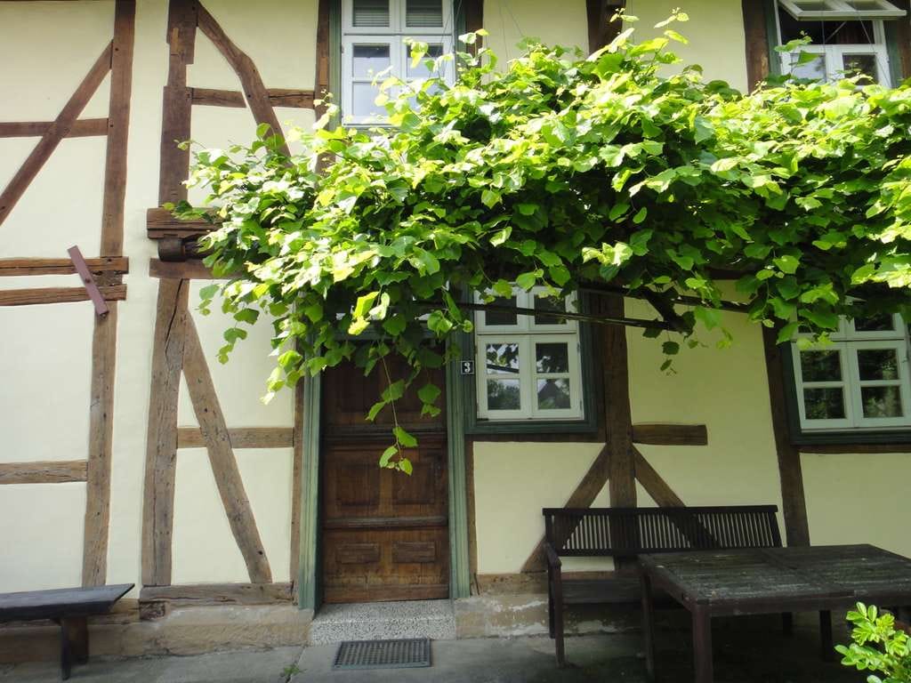 Immobilie in Friedland - großes Wohn-und Gewerbehaus, romantisch mit viel Natur und umbaubar - Bild 2
