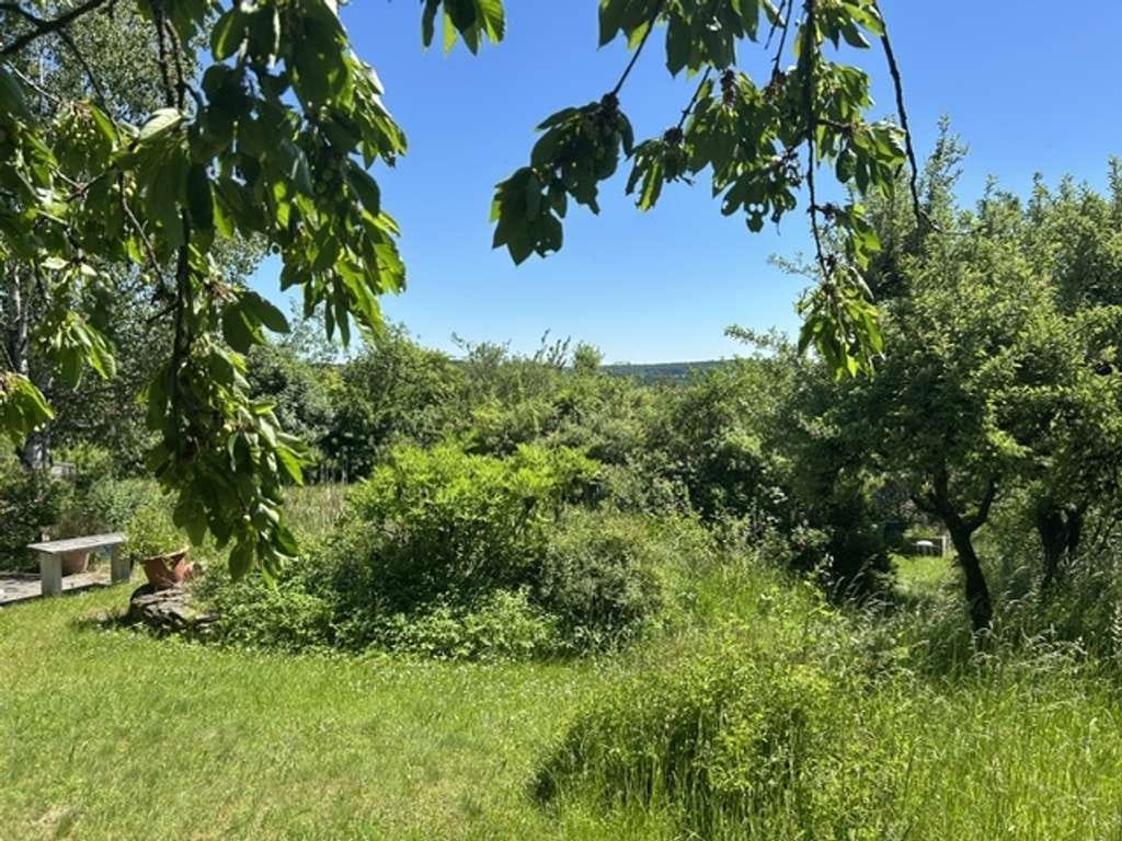 Immobilie in Maroldsweisach - Maroldsweisach - Zweigenerationen Arztvilla + 3 x Einliegerwohnungen -
 zwei Garagen - Traum-Garten - Bild 1