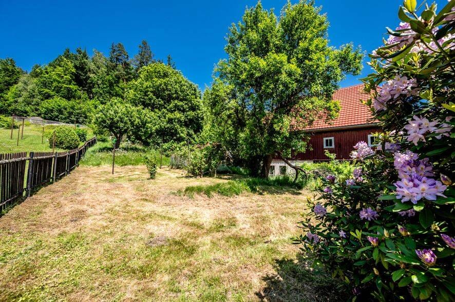 Immobilie in Oybin - Einfamilienhaus in kleiner Anliegerstraße am Ortsrand von Oybin - Bild 3