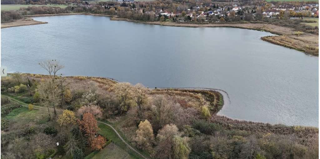 Immobilie in Werneuchen - Großzügiges leerstehendes Bauernhaus mit Seeblick,  1.846 m² grosses Grundstück in Löhme bei Berlin - Bild 3