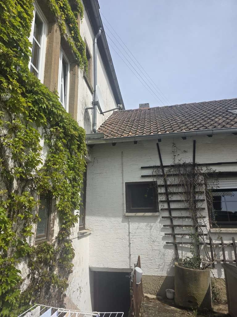 Immobilie in Dennweiler-Frohnbach - *81*Großes Anwesen mit viel Geschichte*Bauernhof*Dennweiler-Frohnbach* - Bild 3