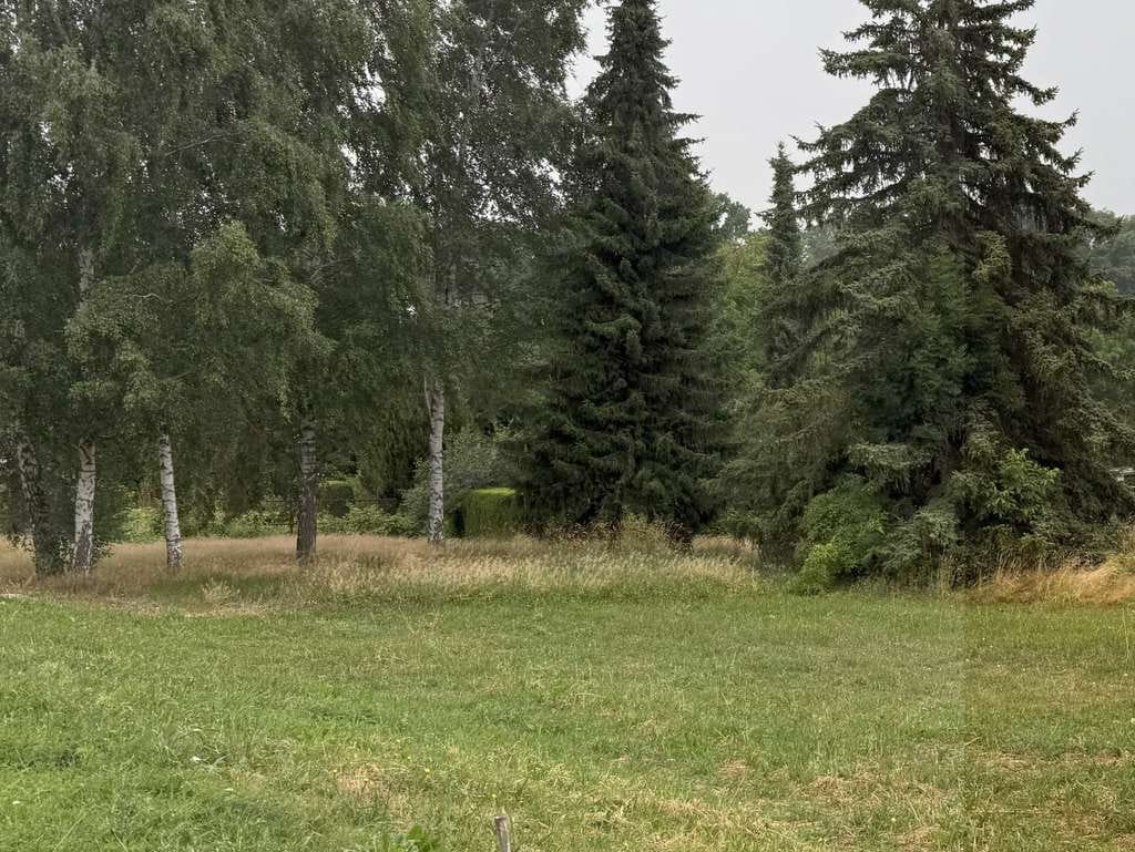 Immobilie in Bobritzsch-Hilbersdorf - Kaufen, planen, einziehen - perfekt für Familien, die loslegen wollen - Bild 3