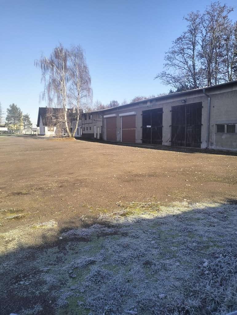 Immobilie in Colbitz - freistehendes Einfamilienhaus mit großzügigen Nebengelass und GS - Bild 4