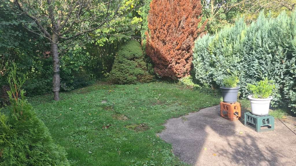 Immobilie in Illingen - Einfamilienhaus mit Scheune, Garagen und Garten - Bild 3