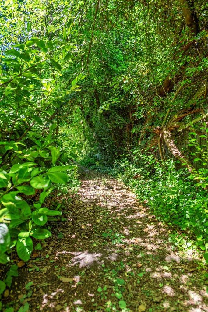 Immobilie in Emmering - Direkt an der Amper: Idyllisches Wohnhaus mit Option zur Zweiparteiennutzung - Bild 3