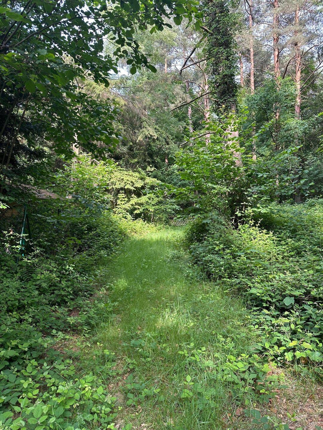 Immobilie in Carlsberg - *** Kleines Wochenendhaus im Naturschutzgbiet Pfälzerwald in Carlsberg-Hertlingshausen *** - Bild 4