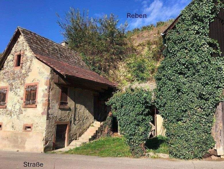 Immobilie in Vogtsburg im Kaiserstuhl - Kl. Weingut Vogtsburg-Bickensohl-Breisach + Wohnhs + Scheune + 2Rebterrassen + Löskeller + Sanierungskosten ca. 290T€ + hohes Steuersparen Denkmal - Bild 4