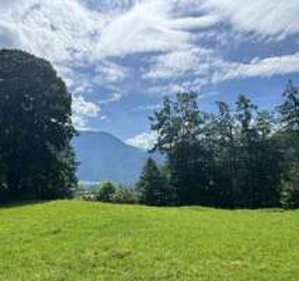 Immobilie in Kiefersfelden - I. I. TEAM: ruhiges Wohnen mit traumhaften Ausblick ! - Bild 1