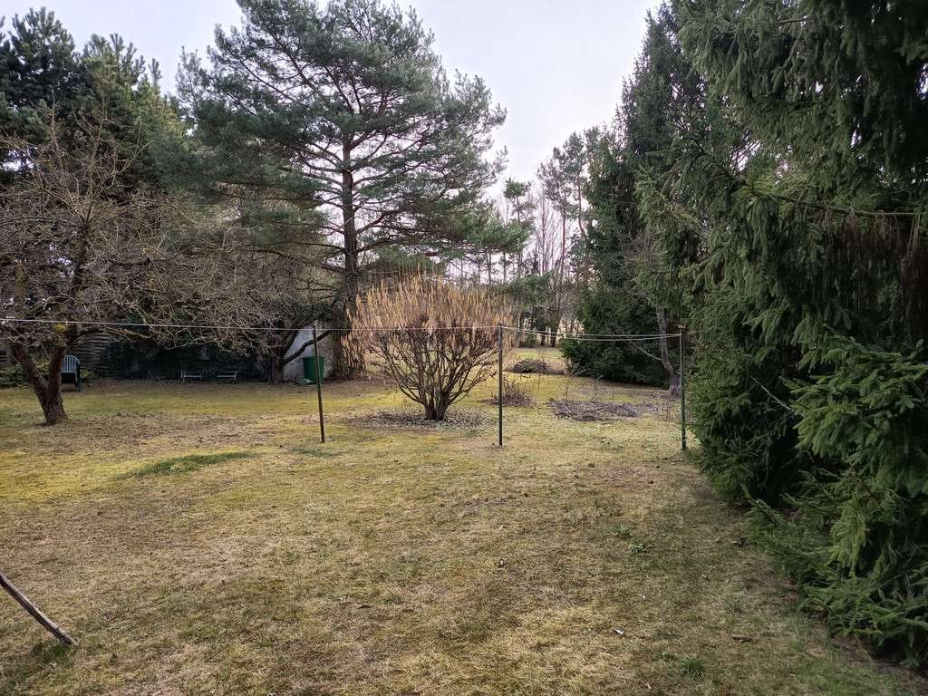 Immobilie in Schönborn - Sylvana - Bild 1
