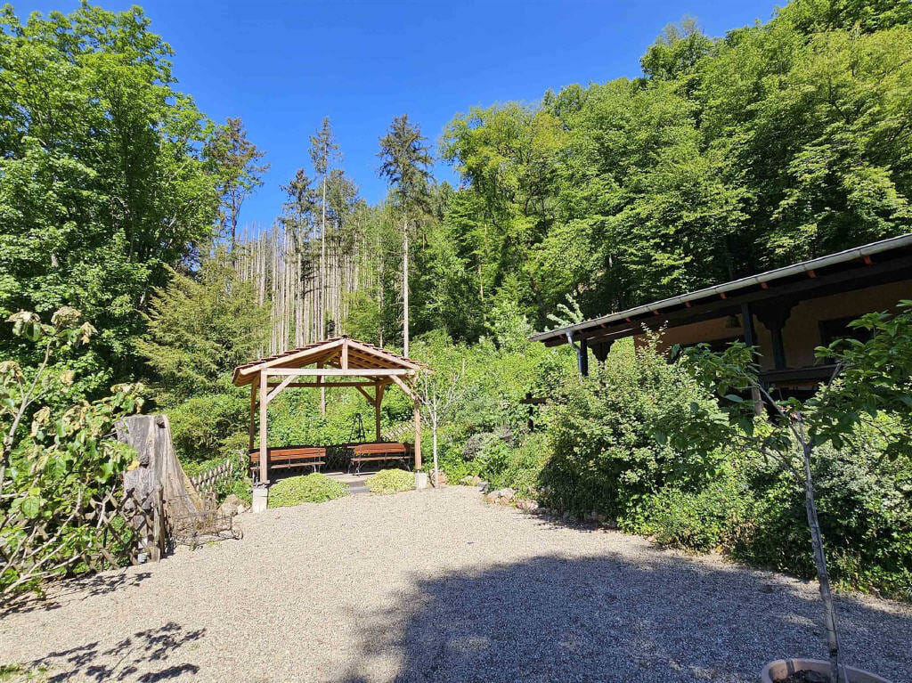 Immobilie in Eltville am Rhein - Wunderschöne Gaststätte Mitten in der Natur: "Waldgaststätte Rausch" inkl. 1-2 Familienhaus - Bild 2