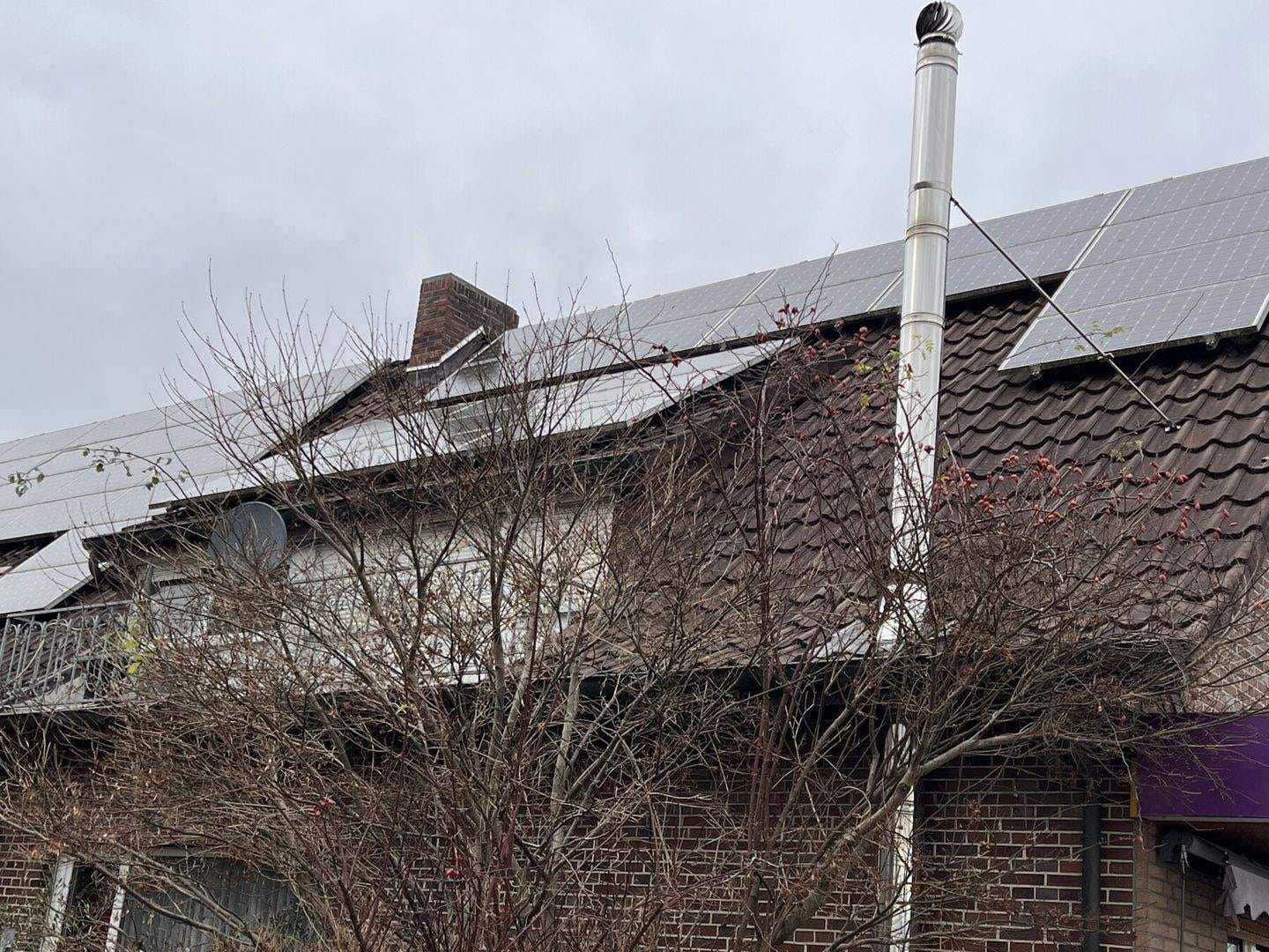 Immobilie in Ostrhauderfehn - Wohnen & Arbeiten im Grünen: Mehrfamilienhaus mit etablierter Gärtnerei, viel Platz und PV-Anlage - Bild 1