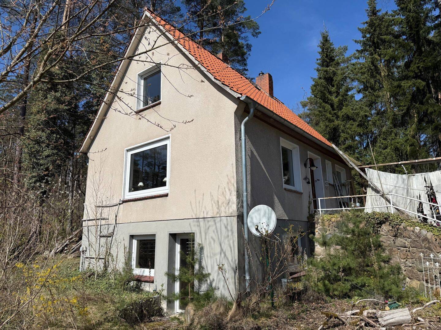 Immobilie in Faßberg - Charmantes Einfamilienhaus auf großzügigem Grundstück in idyllischer Lage - Bild 2