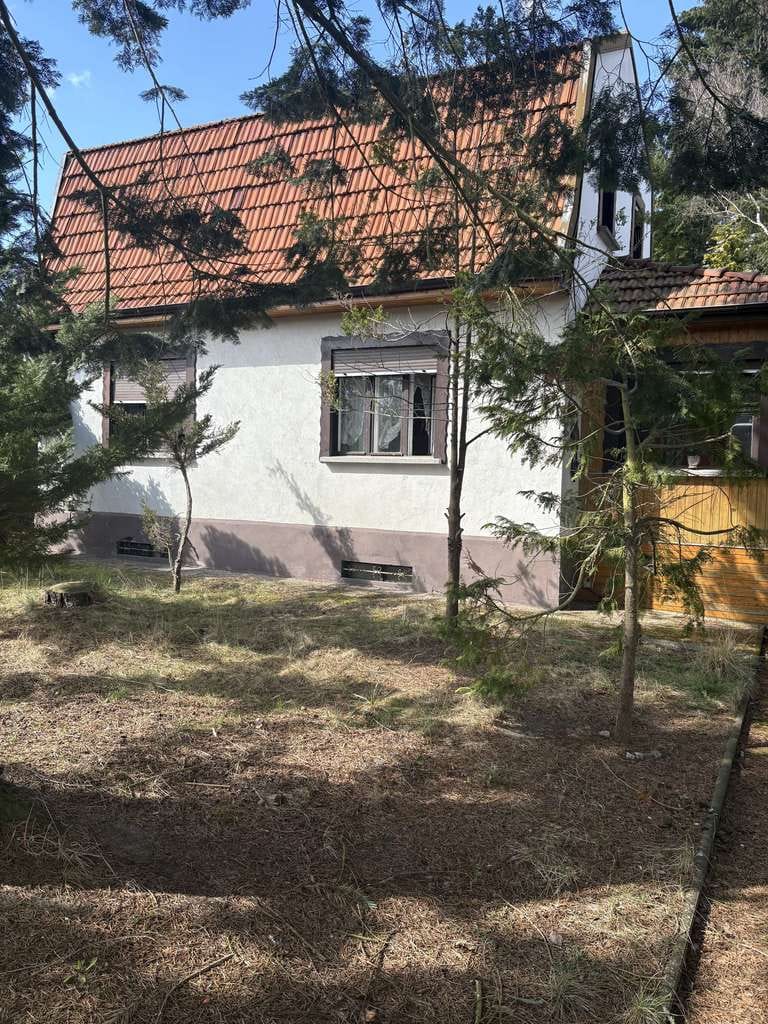 Immobilie in Schulzendorf - 🏚️ Handwerkertraum oder Neubau: EFH auf großem 1.133 m² Grundstück - Bild 0