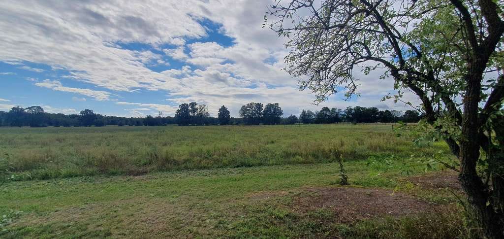 Immobilie in Baruth/Mark - Renditeobjekt auf einem schönen Grundstück in Naturlage mit Ausbaureserve - Bild 4