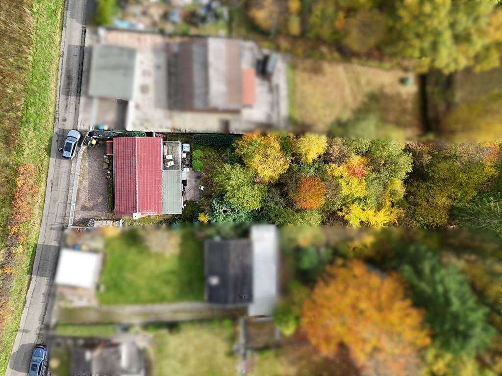 Immobilie in Antrifttal - Einfamilienhaus in idyllischer Ruhelage – Wohnen, wo andere Urlaub machen - Bild 2