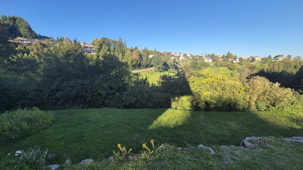 Immobilie in Höchenschwand - Einfamilienhaus freistehend in Höchenschwand - Bild 4