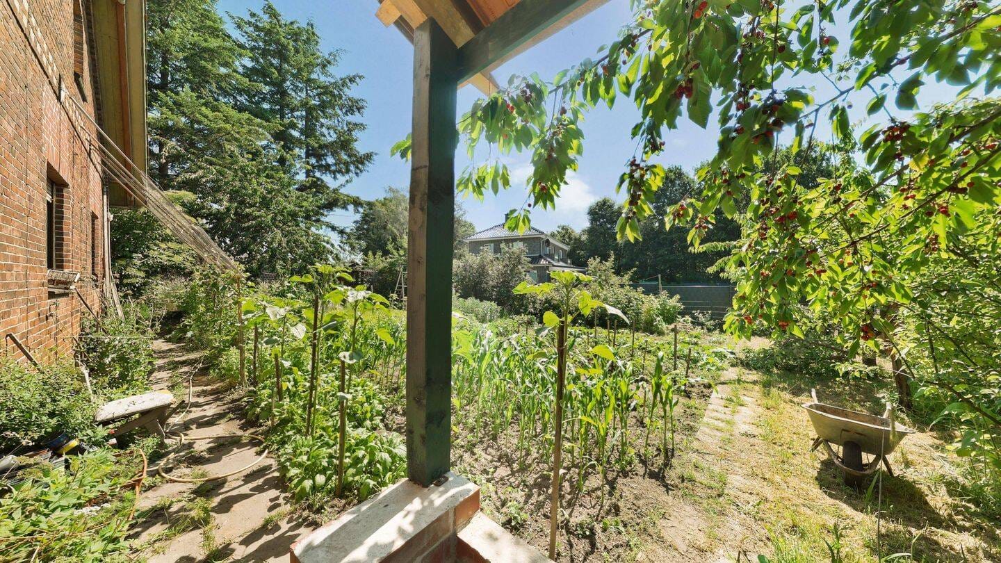 Immobilie in Stolzenau - Viel Platz, vielseitige Nutzung - großzügiges Zweifamilienhaus mit idyllischem Naturgarten - Bild 4