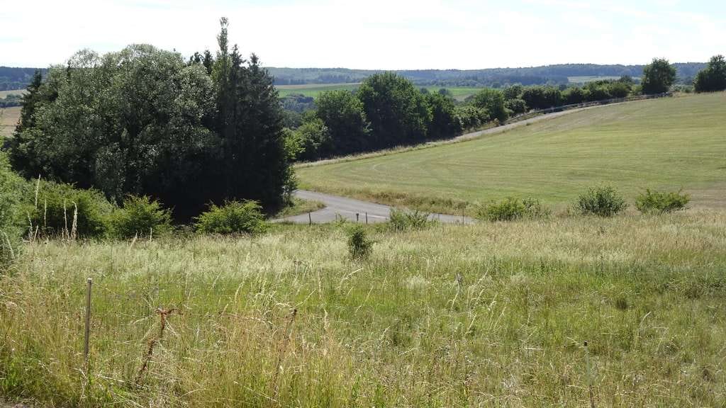 Immobilie in Blankenheim - Ferienhaus - auch zum Dauerbewohnen oder zur Vermietung - in waldreicher Höhenlage - Bild 3