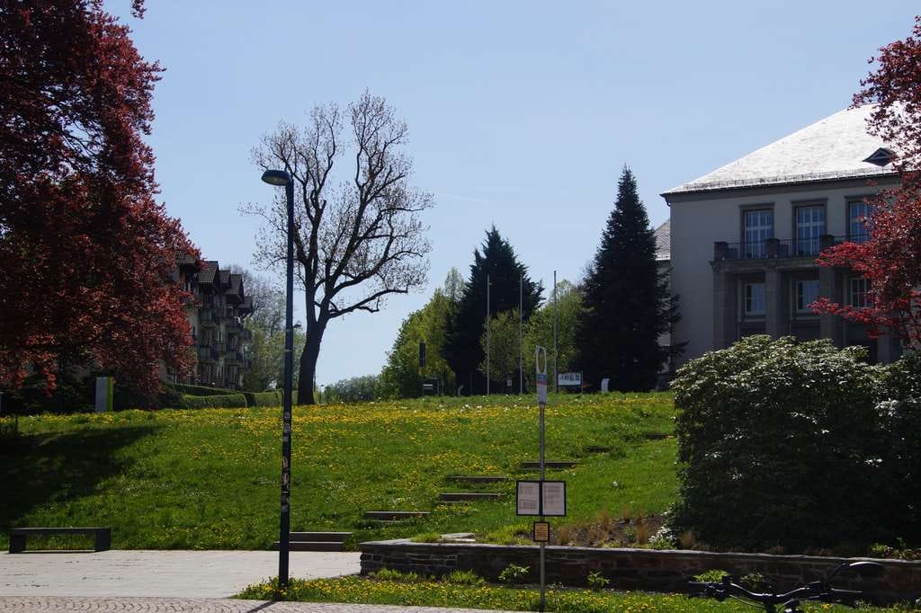 Immobilie in Oelsnitz/Erzgeb. - Wohn- & Geschäftshaus mit Entwicklungspotential - 20.000 euro Miete möglich - Bild 2
